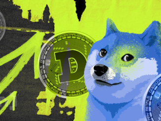 Dogecoin Surged 10X in 24 Hours in 2021: Will History Repeat?