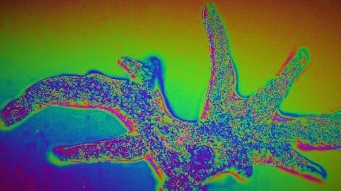 Tyler Spalding, CEO / Co-Founder, Flexa, 2Chainz and Zack Seward, Deputy Editor-in-Chief, CoinDesk