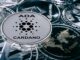 Cardano price forecast as whale activity explodes; KangaMoon offers opportunity