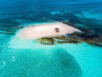 Tyler Spalding, CEO / Co-Founder, Flexa, 2Chainz and Zack Seward, Deputy Editor-in-Chief, CoinDesk