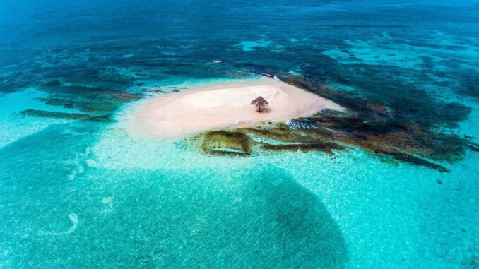 Tyler Spalding, CEO / Co-Founder, Flexa, 2Chainz and Zack Seward, Deputy Editor-in-Chief, CoinDesk