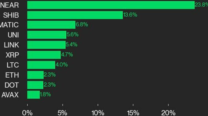 cd20 laggards