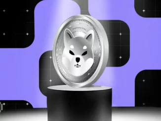 The Bullish and Bearish Case for Shiba Inu (SHIB) Price