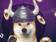 Floki Inu (FLOKI) Plans to Burn 15.2 Billion Tokens