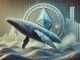 Ethereum whale