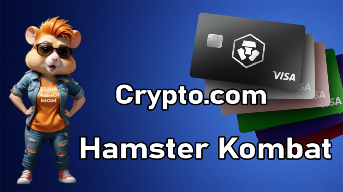 hamster kombat latest card