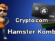 hamster kombat latest card