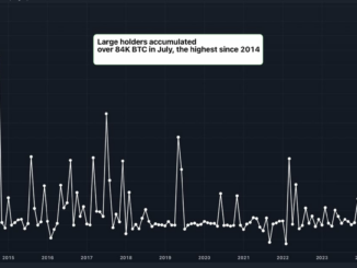 Large holders resorted to strategic accumulation, taking advantage of price dips in July. (IntoTheBlock, TradingView)