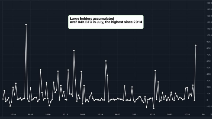 Large holders resorted to strategic accumulation, taking advantage of price dips in July. (IntoTheBlock, TradingView)