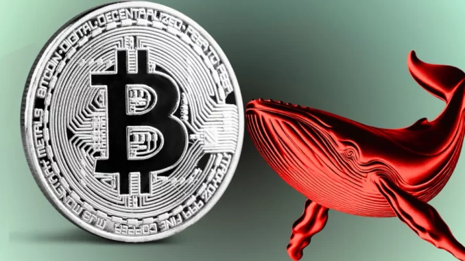 BTC Price Analysis 2nd September 2024