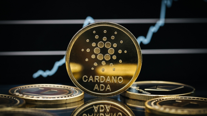 Cardano (ADA) on the spot amid mysterious transactions as ecosystem registers growth