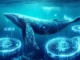 btc-whales