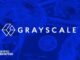 Grayscale lists SUI, TAO, OP, CELO among top "high potential" tokens for Q4 2024