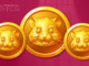 Hamster Kombat