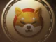 Shiba Inu Price To Surge 130% in February