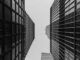 Jason Leibowitz