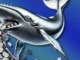 Whale Accumulates 31.2M $WIF, Rakes in $74M Profit