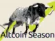 Altcoin Season