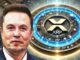 Tesla CEO Elon Musk Highlights XRP and Crypto Potential Amid Regulatory Heat