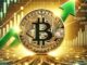 Bitcoin’s Network Fundamentals Turn Bullish—Here Are The Details