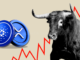 first-banner-ad