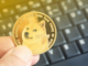 Dogecoin price