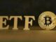 Spot ETFs Fail To Ignite Bitcoin Growth – Analyst