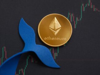 104 Whales Hold 57.35% of Ethereum: Santiment Analysis