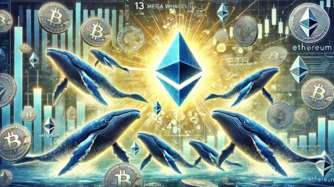 13 Mega Whales Holding Over 10,000 Ethereum Join The Network In 24 Hours – Major Accumulation Signal?