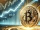 Bitcoin Forms First Daily Death Cross On Dominance Chart In 4 Years, What To Expect Next