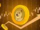 DOGE Whale’s $145 Million Bet on Dogecoin, What's Next?