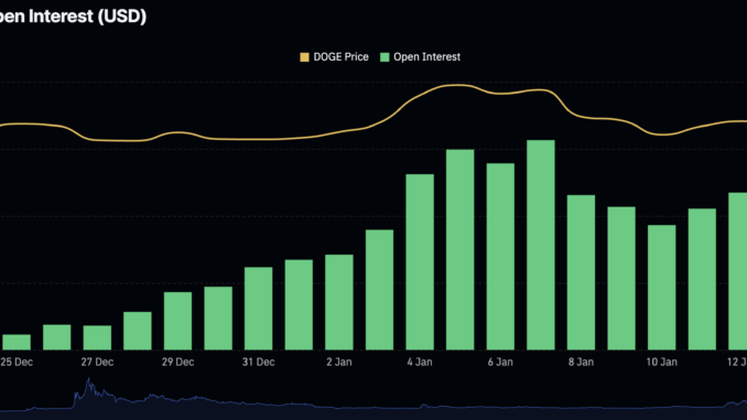 Dogecoin open interest