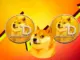 Time to Buy DOGE? Whale Buys 175 Million Dogecoin