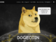 US government's DOGE website launches with Dogecoin logo