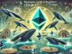 Big Players Keep Buying Ethereum – Whales Accumulate 430,000 ETH In 72 Hours