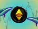 Whale Pressure Drops as Ethereum Faces Sharp Decline Here’s the Impact on ETH Price