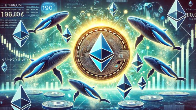 Whales Add 190,000 Ethereum In The Last 24 Hours – The Accumulation Continues