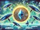 Whales Add 190,000 Ethereum In The Last 24 Hours – The Accumulation Continues