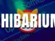 Will the Shibarium Hard Fork Catalyze a SHIB Price Boom?