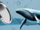 Whales Turn Bearish on This Popular Altcoin—Will it Plunge by 35% This Month?