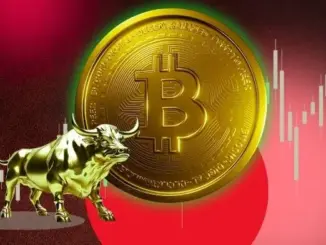 Jetking Buys More Bitcoin, Now Holds 21 BTC