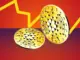 Cardano (ADA) Price Prediction for March 14