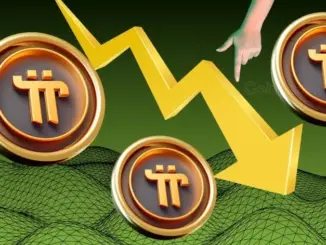 Pi Network Crash