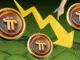 Pi Network Crash