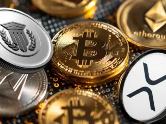 muttum-finance-crypto