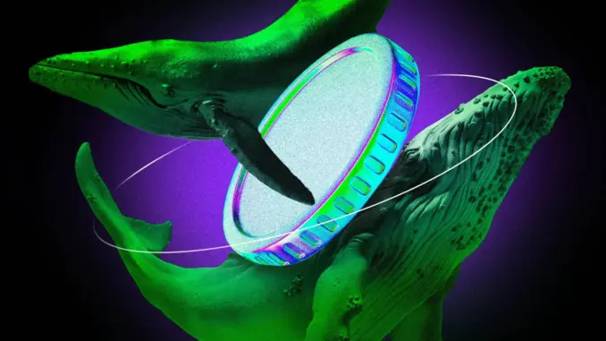 What Whales Are Buying For Potential Gains in June 