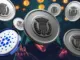 mutuum-finance-ada (1)