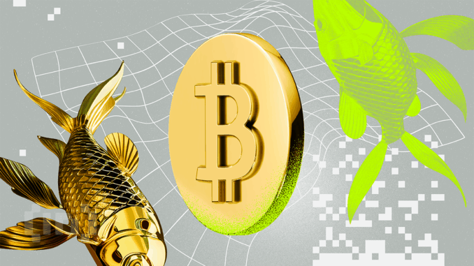 Gold Surges While Bitcoin Slips as Iran Threatens Retaliation