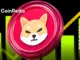 Can Shiba Inu (SHIB) Price Hit $0.00003 Level!