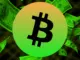Institutional Bitcoin Holdings Soared 924% in a Decade: Gemini and Glassnode Report